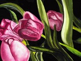 by Cynthia DeMaio