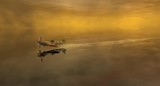 by Michael Goddard