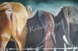 by Robert Ryan