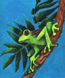 by Brenda Mullard