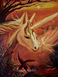 by Susan Rodio