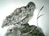 by Marietta Eiken