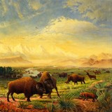 by Walt  Curlee