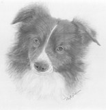by Phyllis Gerben