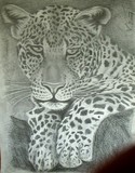 by Verena Suess