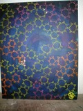 by erne turtle