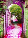 by Lisa Kettell