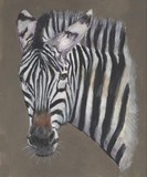 by Robin Gorton