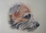 by Joanne Simpson-Connor
