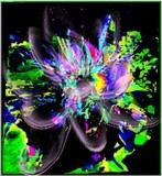 by Barry Huyett