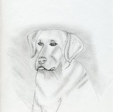 by Sami XXXX