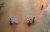 by Gopal Bhattacharjee