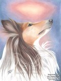 by Alicia Hansen
