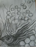 by Bindu 