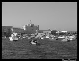 by Ahmed  Hasan