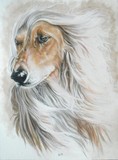 by Barbara Keith