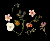 by kathi halickman