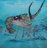 by Sue Johnson