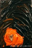 by heather cornelius