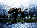by karie Miller