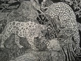 by timmy anderson