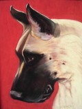 by Diane Greenhorn