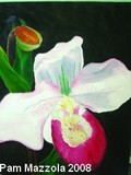 by Pam Mazzola