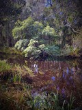 by Ropati Leaso-Cobb