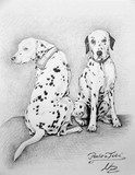 by nicole zeug