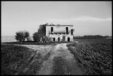 by giuseppe dibenedetto