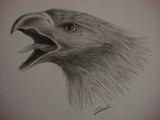 by Jacob Varghese