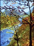 by Suelene Rebouças
