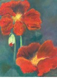 by Sheri Edwards