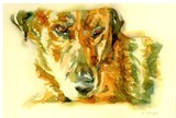 by meagan alwood-karcic