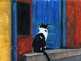 by judie cole