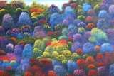 by david snider