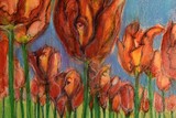 by Donald Williams