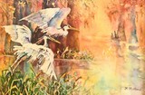 by Nancy Melton