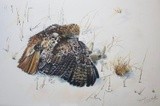 by Justin Dancing Hawk