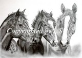 by L. Scepkova