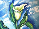 by Yelena Dyumin