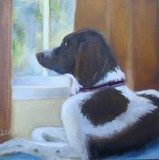 by Debi Hinshaw