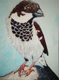 by Lesley Hartwell