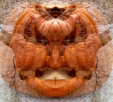 by John Longbow
