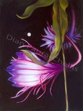 by Dian Paura-Chellis