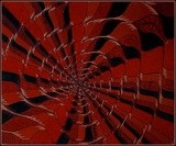 by Penny Kaiman-Rayner