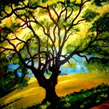 by keshaw kumar