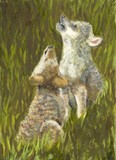by Ruth Seal