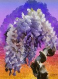 by Auber Fiori