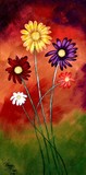 by Peggy Garr